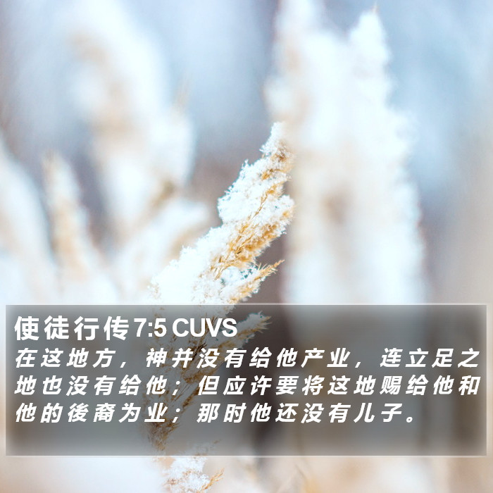 使 徒 行 传 7:5 CUVS Bible Study