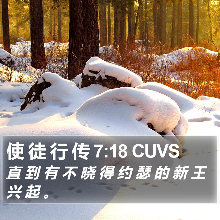 使 徒 行 传 7:18 CUVS Bible Study