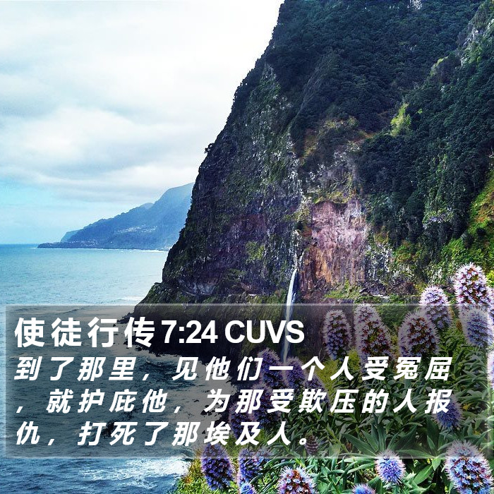 使 徒 行 传 7:24 CUVS Bible Study