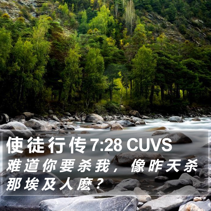 使 徒 行 传 7:28 CUVS Bible Study