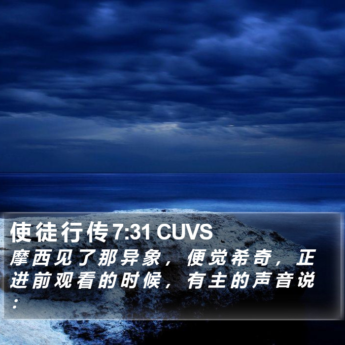 使 徒 行 传 7:31 CUVS Bible Study