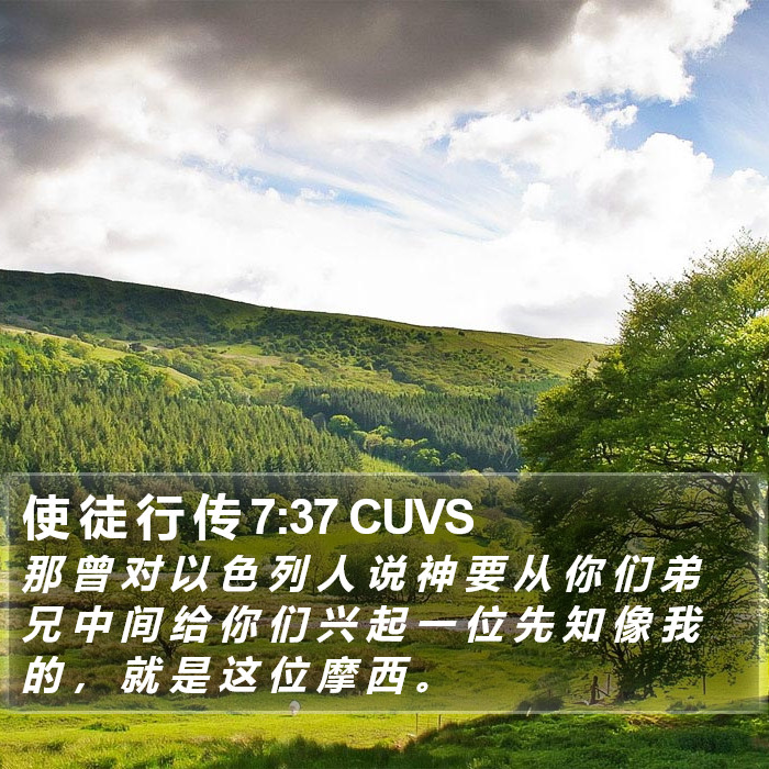 使 徒 行 传 7:37 CUVS Bible Study