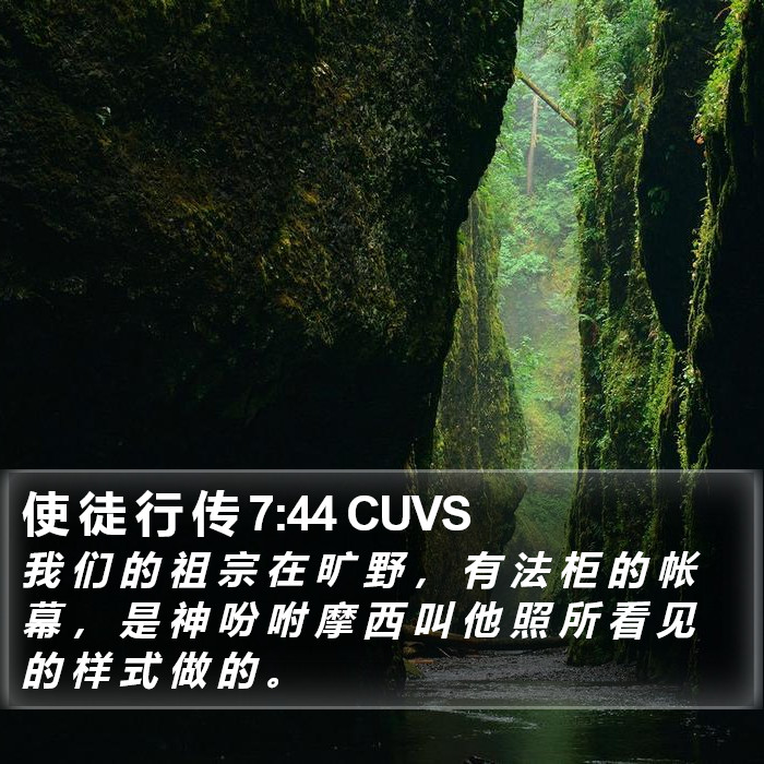 使 徒 行 传 7:44 CUVS Bible Study