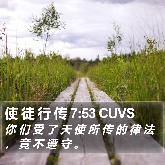 使 徒 行 传 7:53 CUVS Bible Study