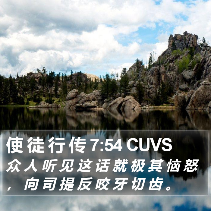 使 徒 行 传 7:54 CUVS Bible Study