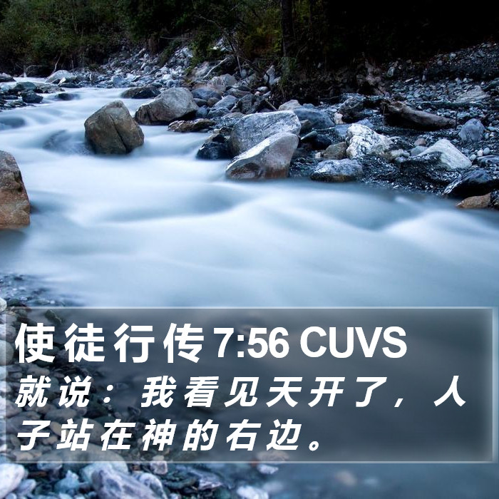 使 徒 行 传 7:56 CUVS Bible Study