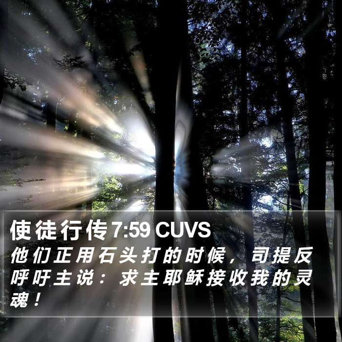 使 徒 行 传 7:59 CUVS Bible Study