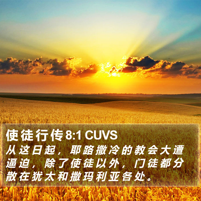 使 徒 行 传 8:1 CUVS Bible Study