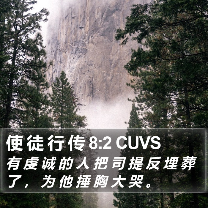 使 徒 行 传 8:2 CUVS Bible Study