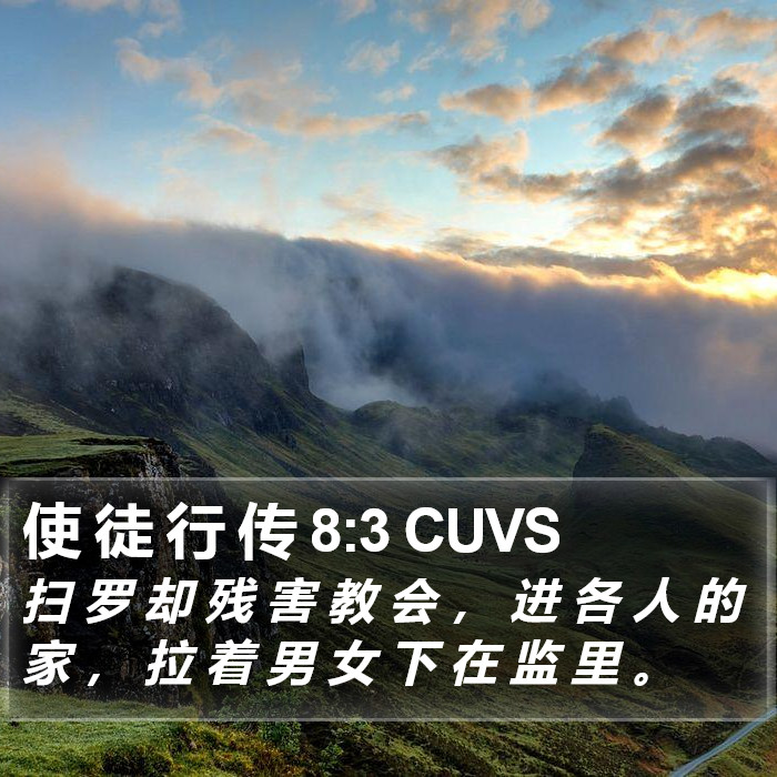 使 徒 行 传 8:3 CUVS Bible Study