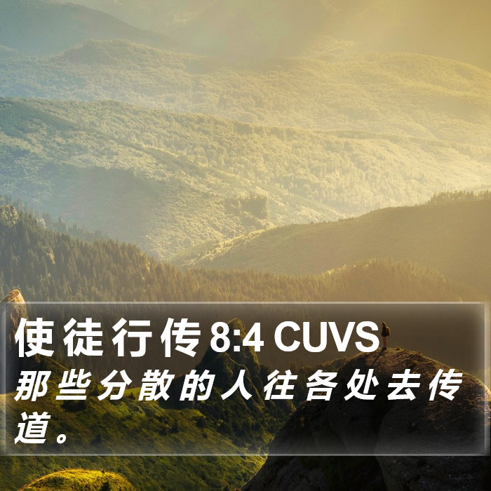 使 徒 行 传 8:4 CUVS Bible Study