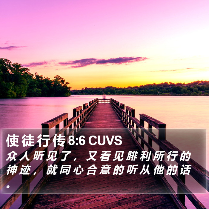 使 徒 行 传 8:6 CUVS Bible Study