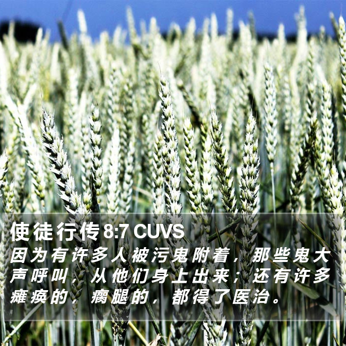 使 徒 行 传 8:7 CUVS Bible Study