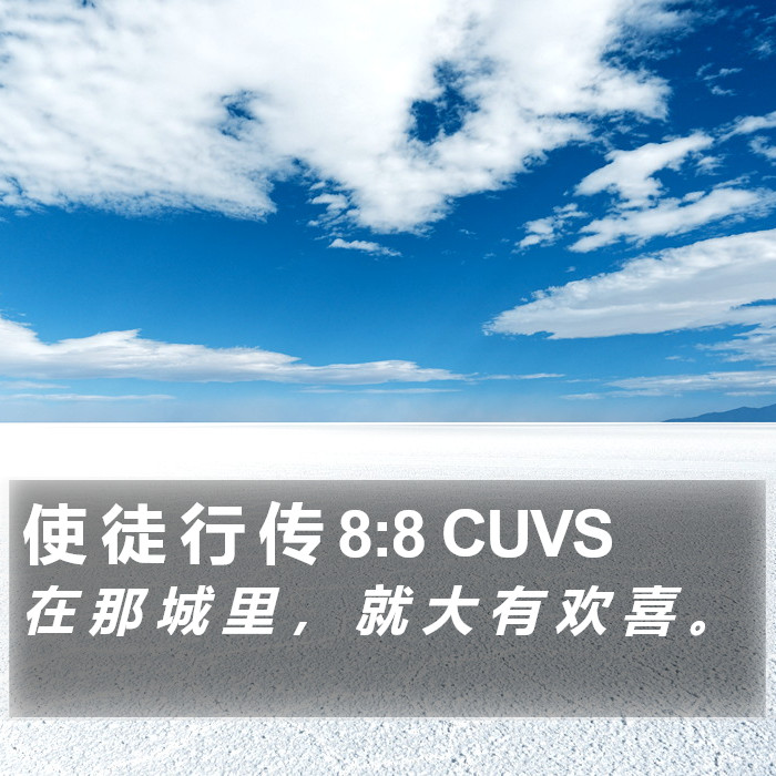 使 徒 行 传 8:8 CUVS Bible Study