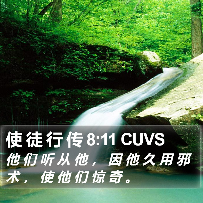 使 徒 行 传 8:11 CUVS Bible Study