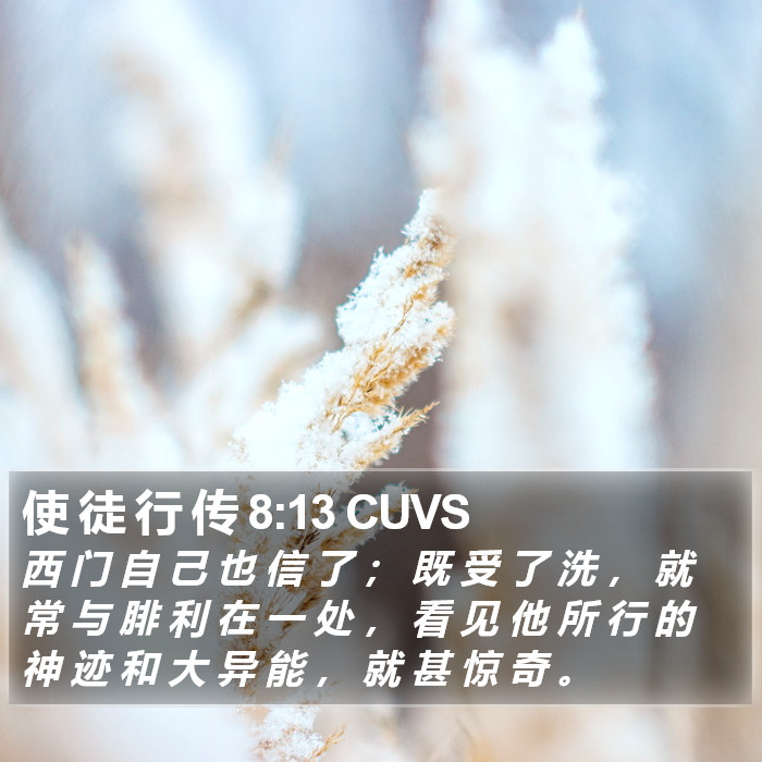 使 徒 行 传 8:13 CUVS Bible Study