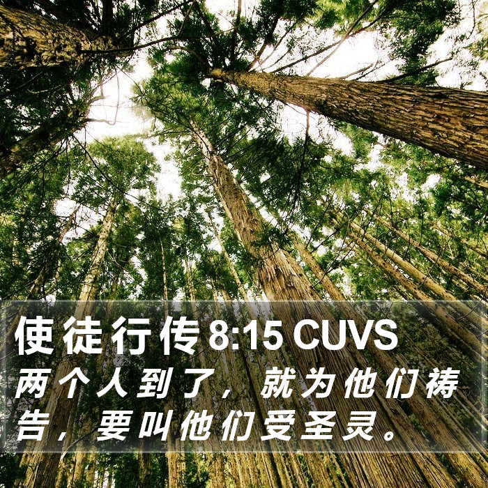 使 徒 行 传 8:15 CUVS Bible Study