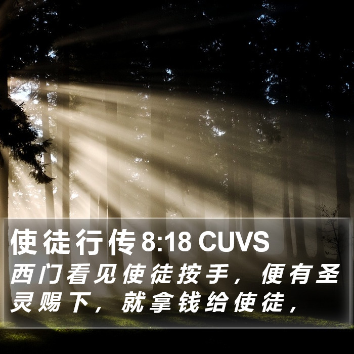 使 徒 行 传 8:18 CUVS Bible Study