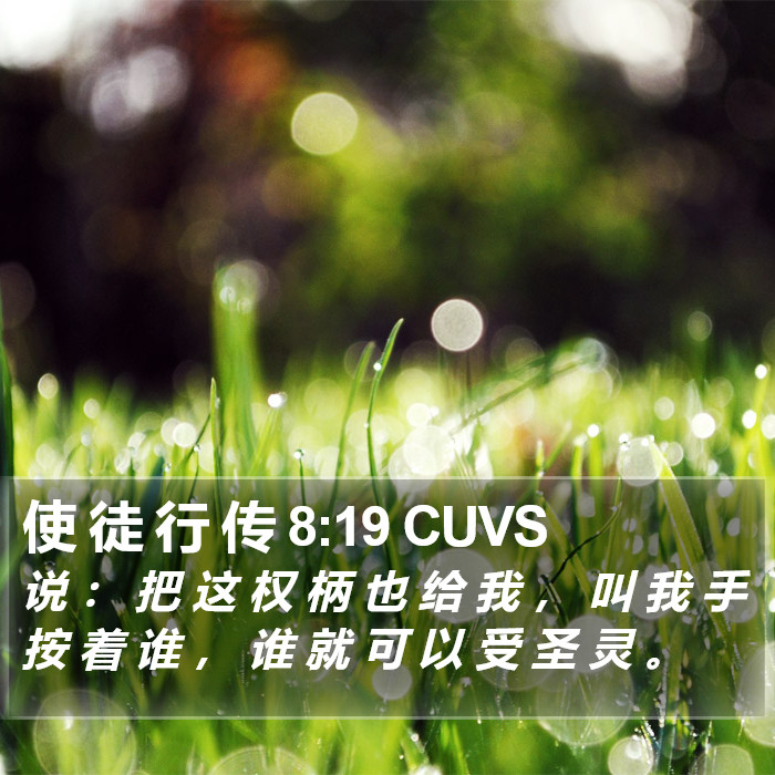 使 徒 行 传 8:19 CUVS Bible Study