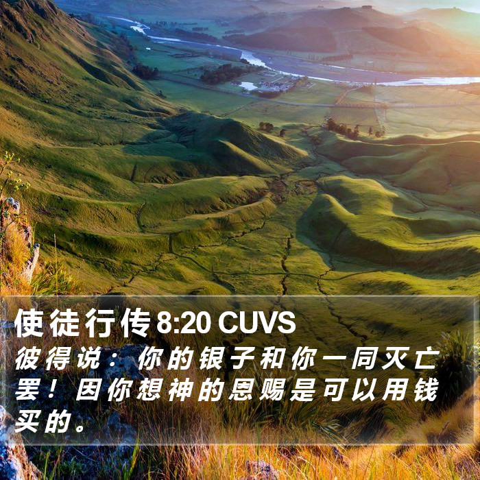 使 徒 行 传 8:20 CUVS Bible Study