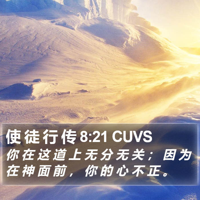 使 徒 行 传 8:21 CUVS Bible Study