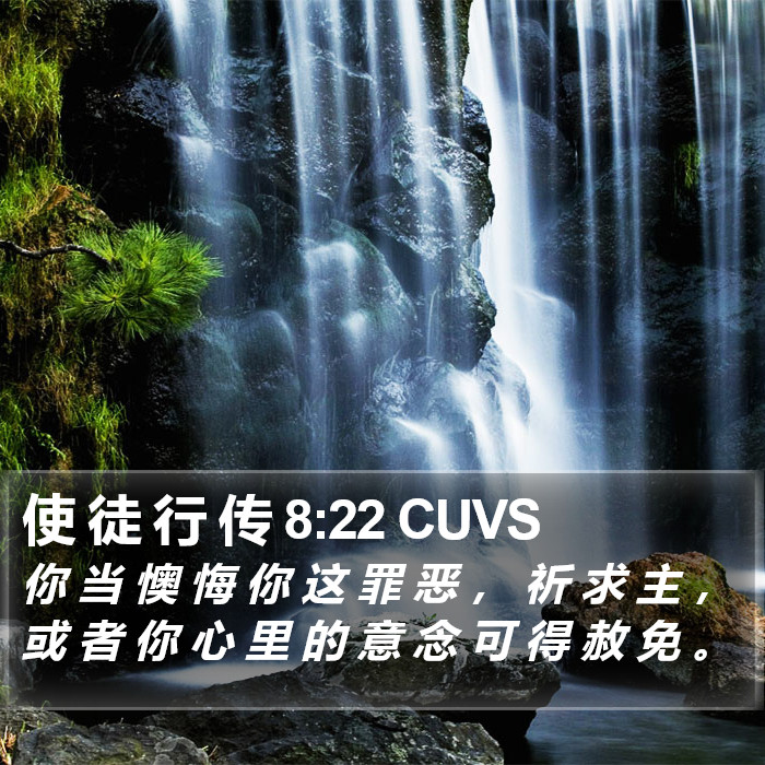 使 徒 行 传 8:22 CUVS Bible Study