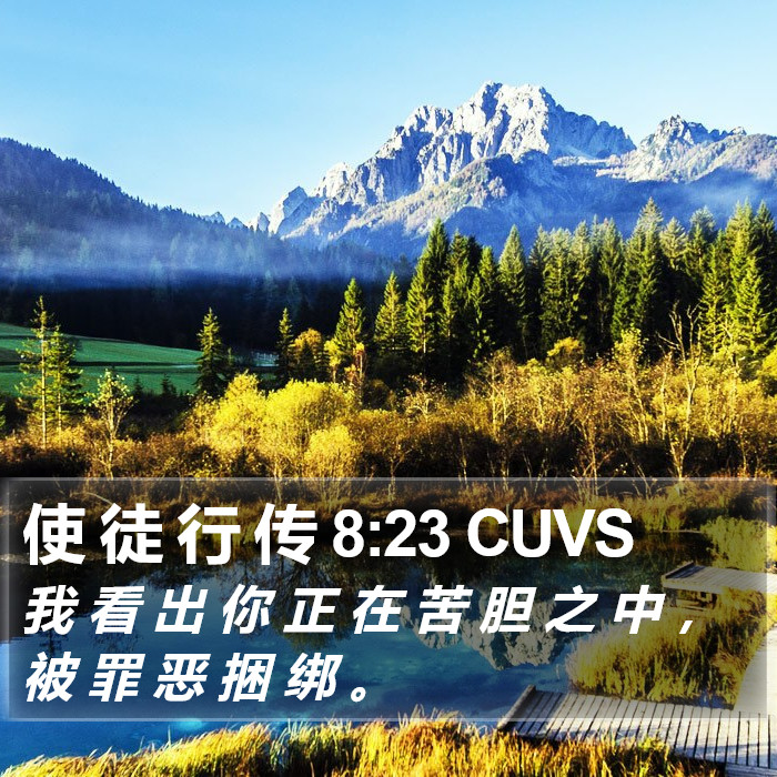 使 徒 行 传 8:23 CUVS Bible Study