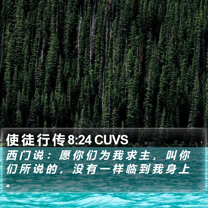 使 徒 行 传 8:24 CUVS Bible Study