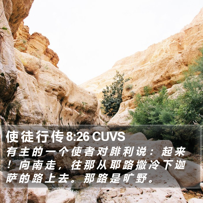 使 徒 行 传 8:26 CUVS Bible Study