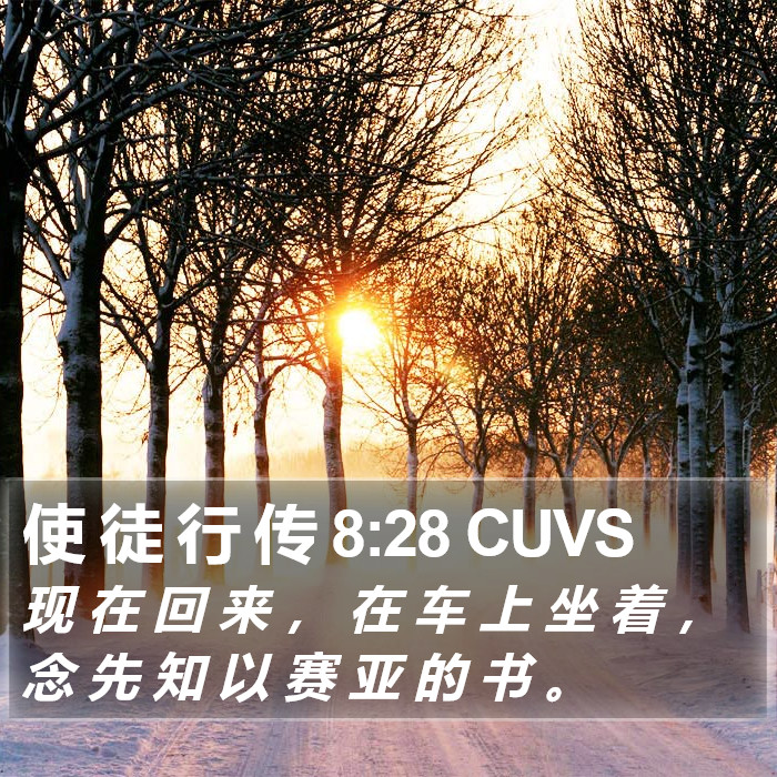 使 徒 行 传 8:28 CUVS Bible Study