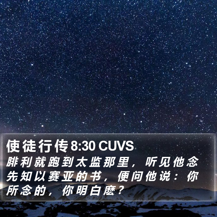 使 徒 行 传 8:30 CUVS Bible Study