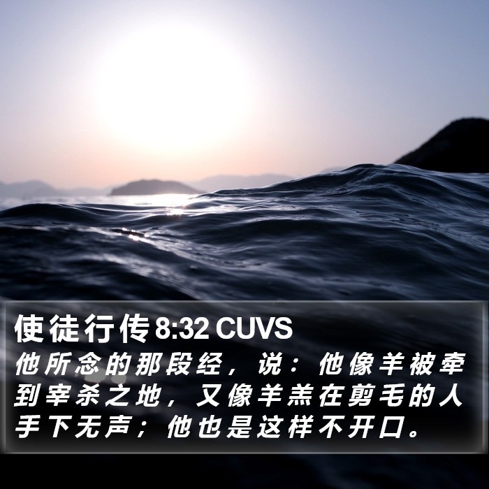 使 徒 行 传 8:32 CUVS Bible Study