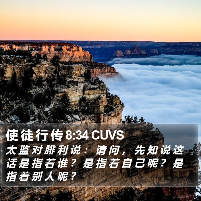 使 徒 行 传 8:34 CUVS Bible Study