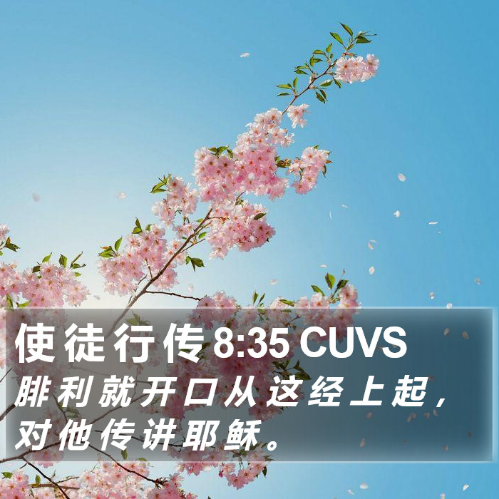 使 徒 行 传 8:35 CUVS Bible Study