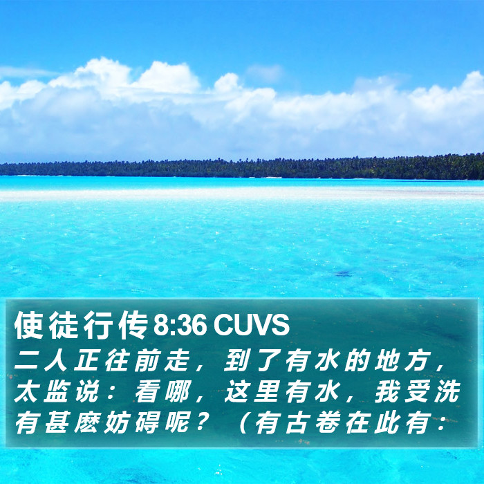 使 徒 行 传 8:36 CUVS Bible Study