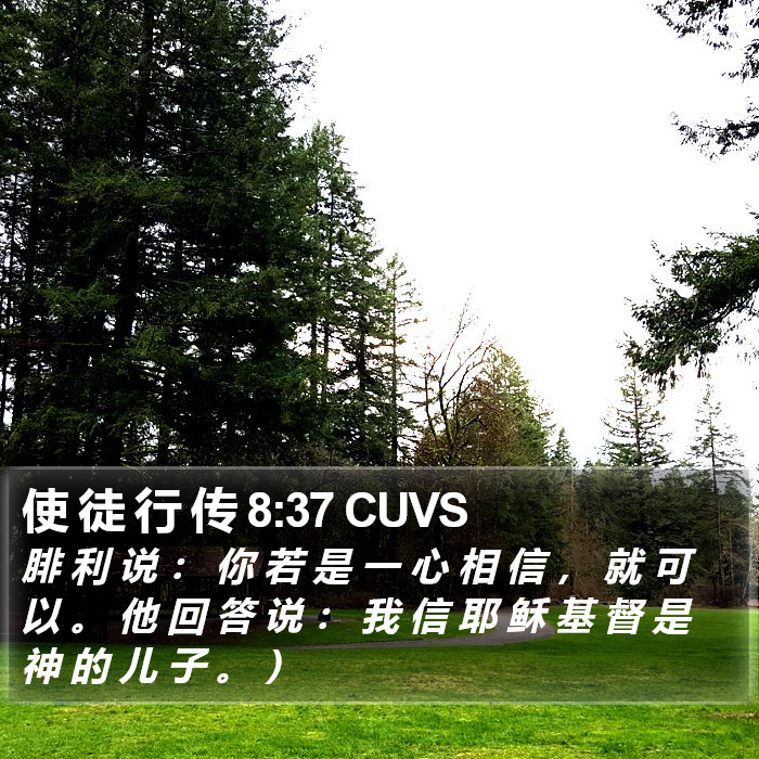 使 徒 行 传 8:37 CUVS Bible Study