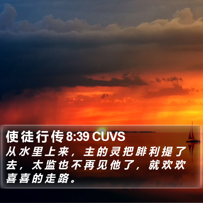 使 徒 行 传 8:39 CUVS Bible Study