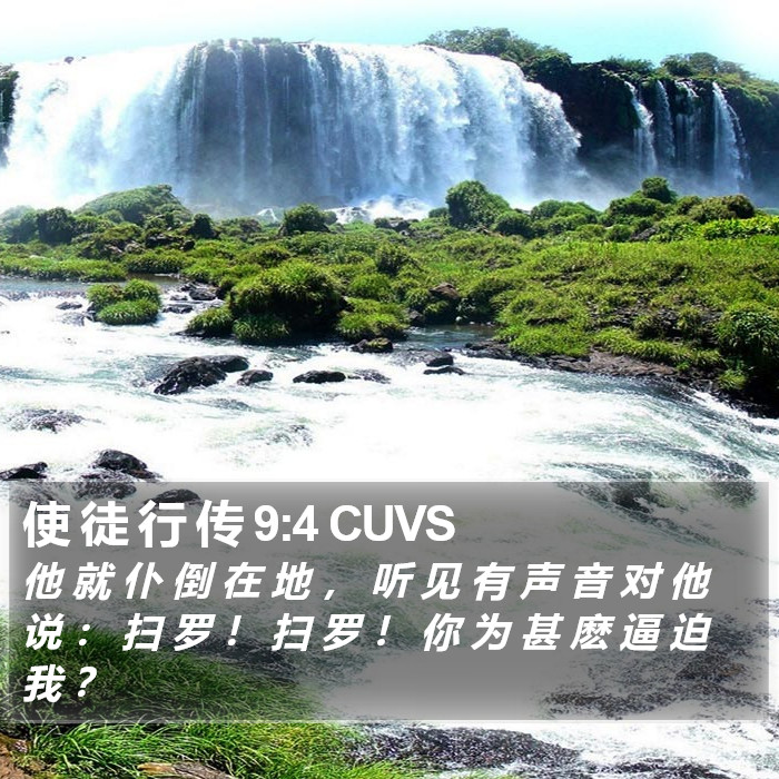 使 徒 行 传 9:4 CUVS Bible Study