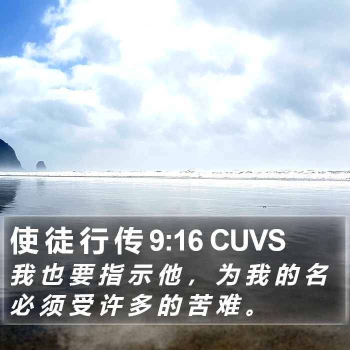 使 徒 行 传 9:16 CUVS Bible Study