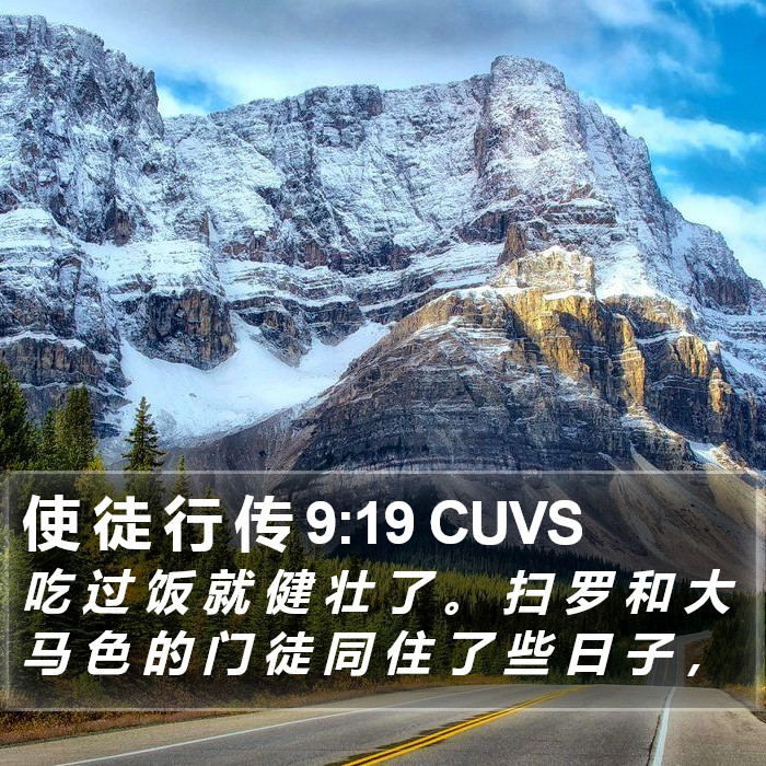 使 徒 行 传 9:19 CUVS Bible Study