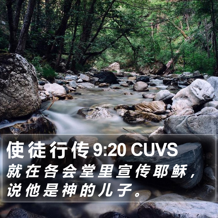 使 徒 行 传 9:20 CUVS Bible Study