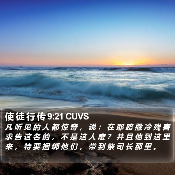 使 徒 行 传 9:21 CUVS Bible Study