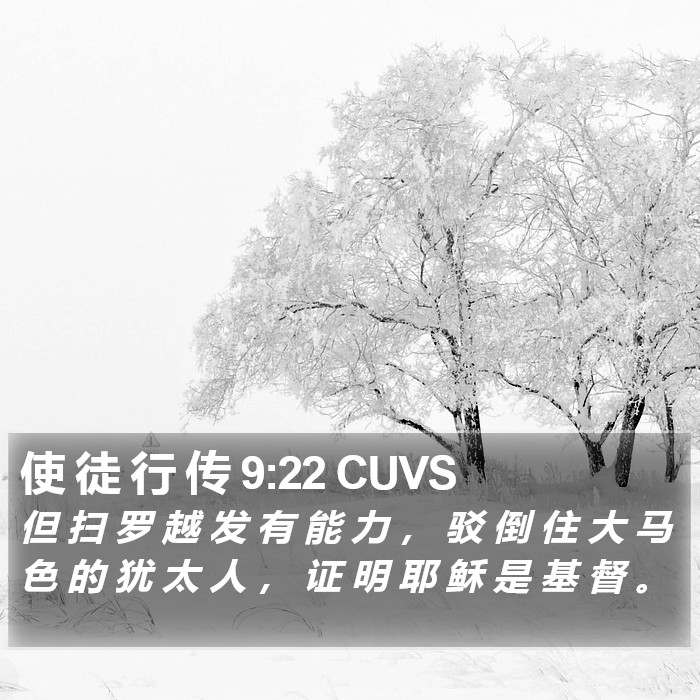 使 徒 行 传 9:22 CUVS Bible Study