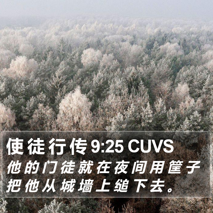 使 徒 行 传 9:25 CUVS Bible Study