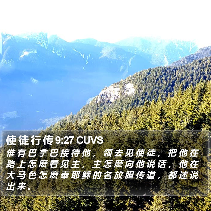 使 徒 行 传 9:27 CUVS Bible Study