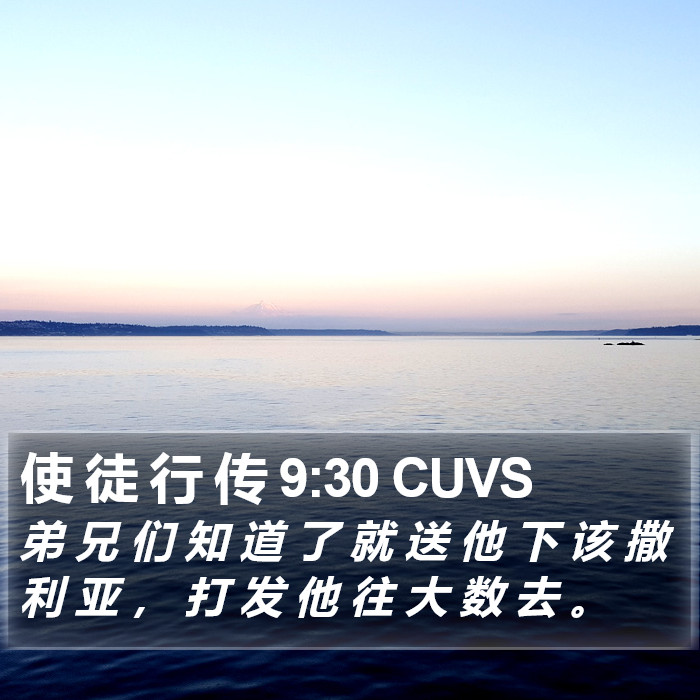 使 徒 行 传 9:30 CUVS Bible Study