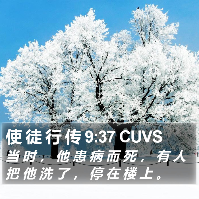 使 徒 行 传 9:37 CUVS Bible Study