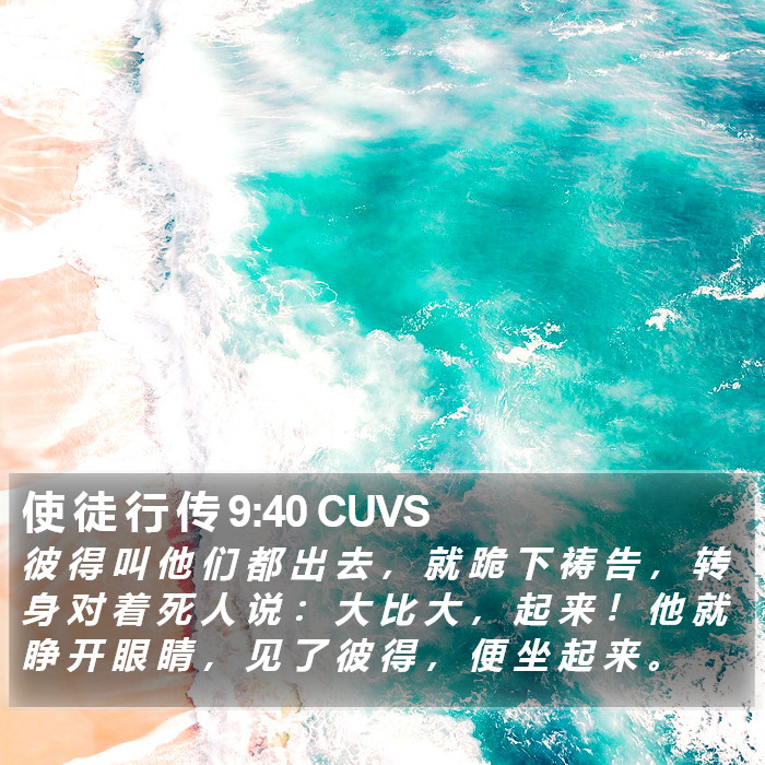 使 徒 行 传 9:40 CUVS Bible Study