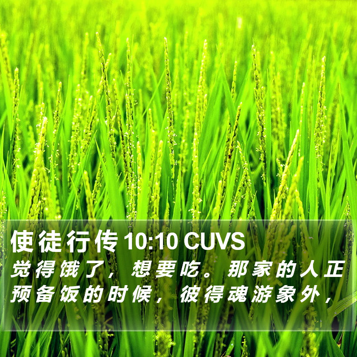 使 徒 行 传 10:10 CUVS Bible Study