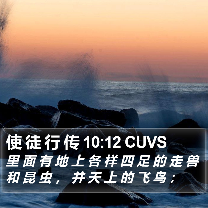 使 徒 行 传 10:12 CUVS Bible Study